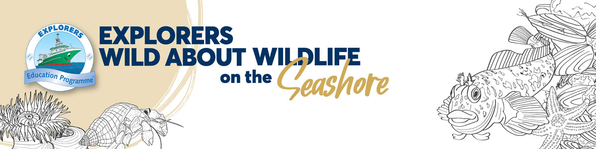 Explorers Wild about Wildlife 