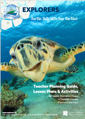 Explorers Turtle Talk with Sea Turtles | Marine Institute