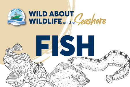 Wild About Wildlife Fish Image