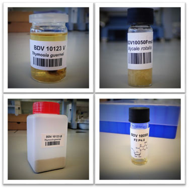NMBL Irish marine biorepository specimens image NMBL Irish marine biorepository specimens image