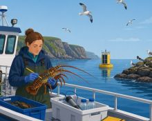 An illustration with a female marine scientists on a boat at sea, holding crayfish with a marine data buoy on the background