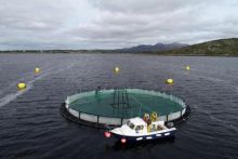 Lehanagh Pool sea site