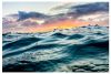 Cove, Niall Meehan, Sea Studio 