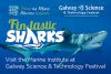 Taispeántas Siorcanna Iontach Socraithe chun Steallóg a Dhéanamh ag Féile Eolaíochta agus Teicneolaíochta na Gaillimhe 