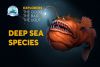 Explorers: The Good, The Bad, and the Ugly Deep Sea Species