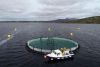 Lehanagh Pool sea site