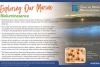 Exploring Our Marine with the Marine Institute - Bioluminesence
