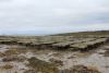 Oyster Farm.