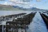 Marine Institute to Host 12th Shellfish Safety Workshop 