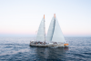 Tara Schooner in open waters